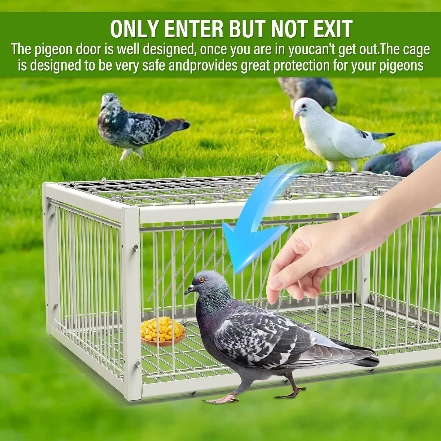 تله کبوتر با طراحی ضد فرار، قفس کبوتر با ورودی یکبار مصرف، ایده آل برای کبوتر ماده، قفس گیرنده مرغ و پرنده