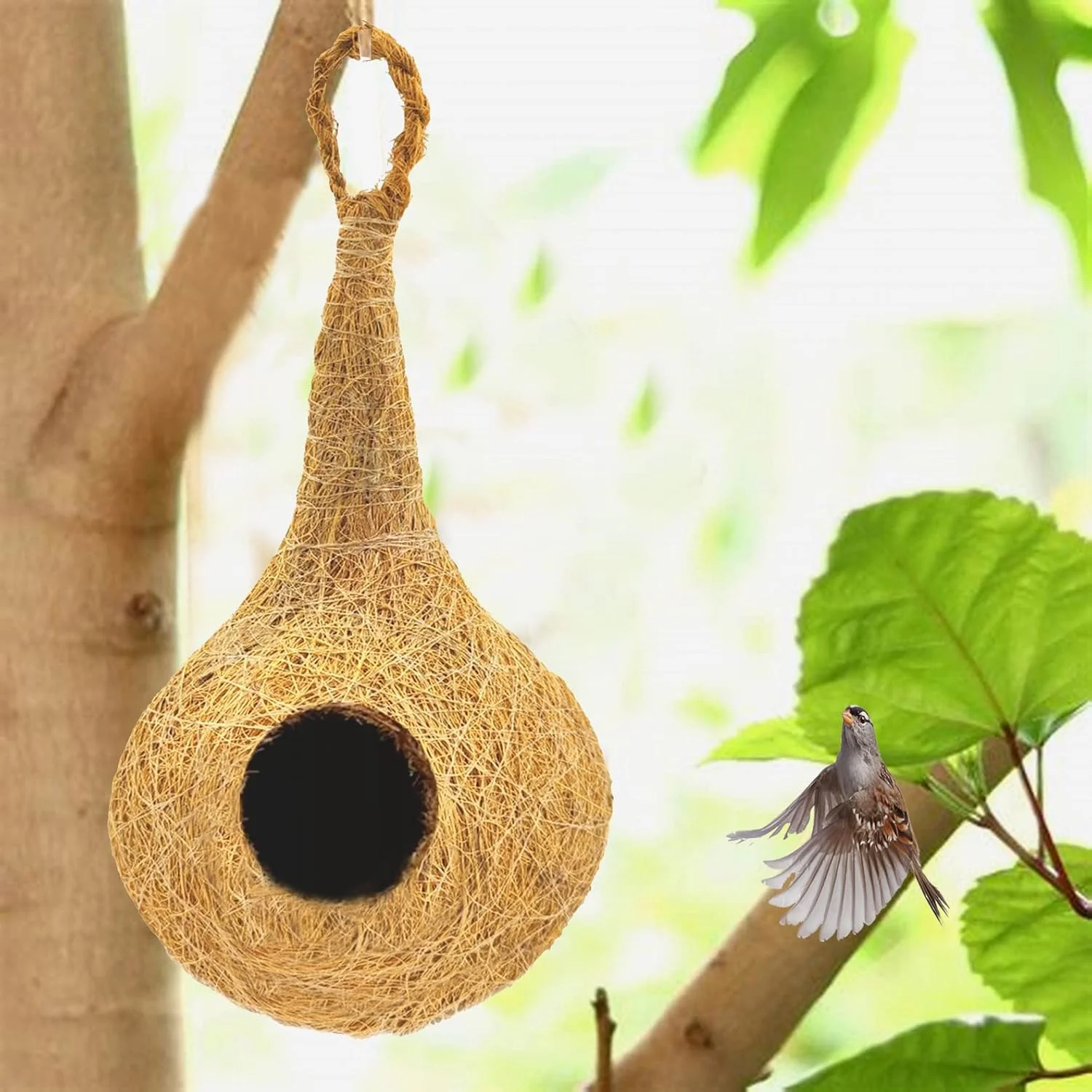 لانه پرنده طبیعی باهایا LIVEONCE برای قفس و پرورش انواع پرندگان کوچک و متوسط ​​همراه با قلاب آویز خودچسب بسته 2 عددی