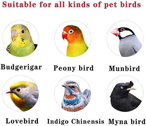 قفس بزرگ پرنده سایز 42X60