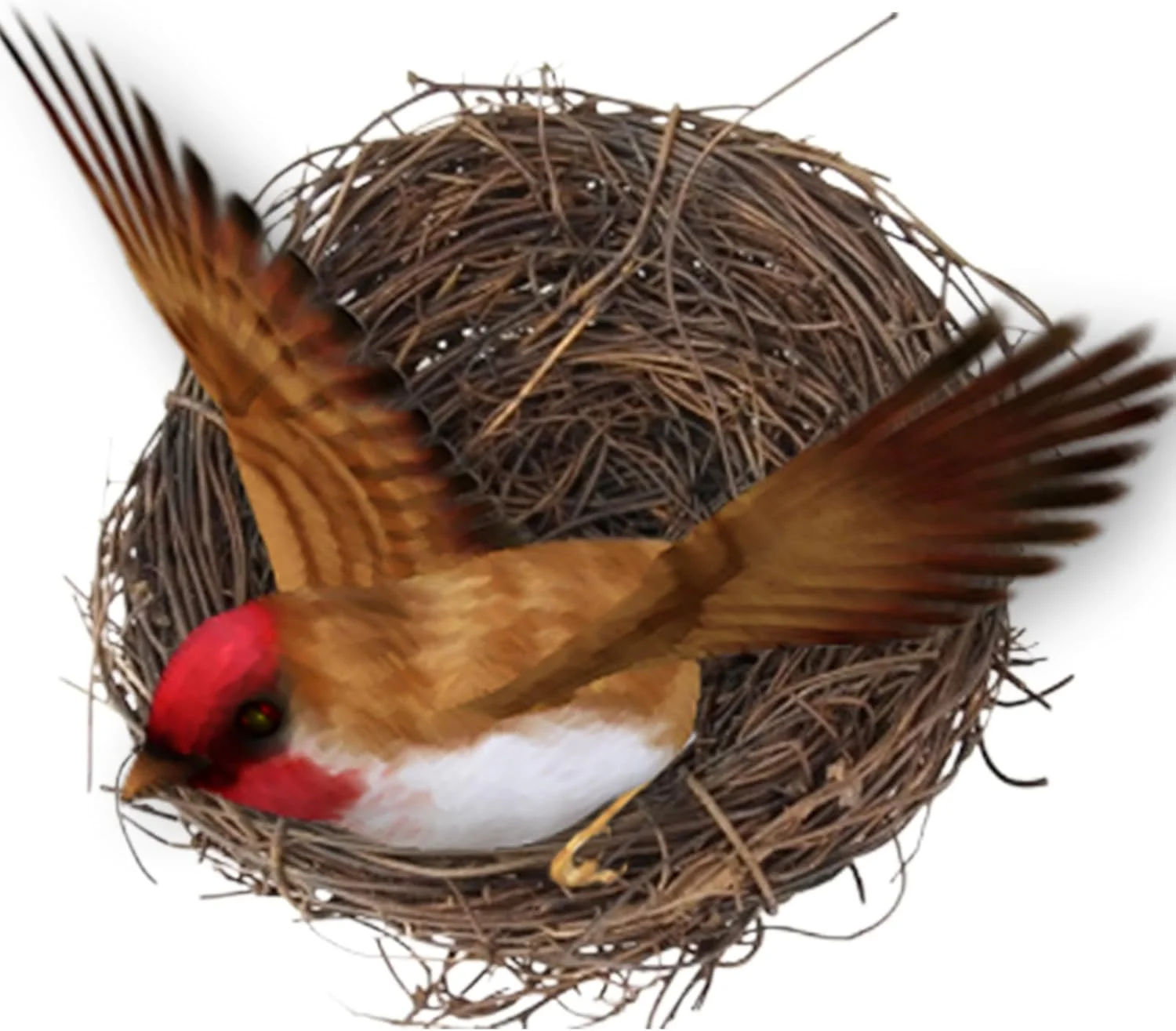 لانه تزئینی پرنده، خانه لانه بافته شده دست ساز، لوازم جانبی قفس پرنده برای پاراکیت، خانه بستر حیوانات کوچک با پایه صاف برای کبوتر و طوطی