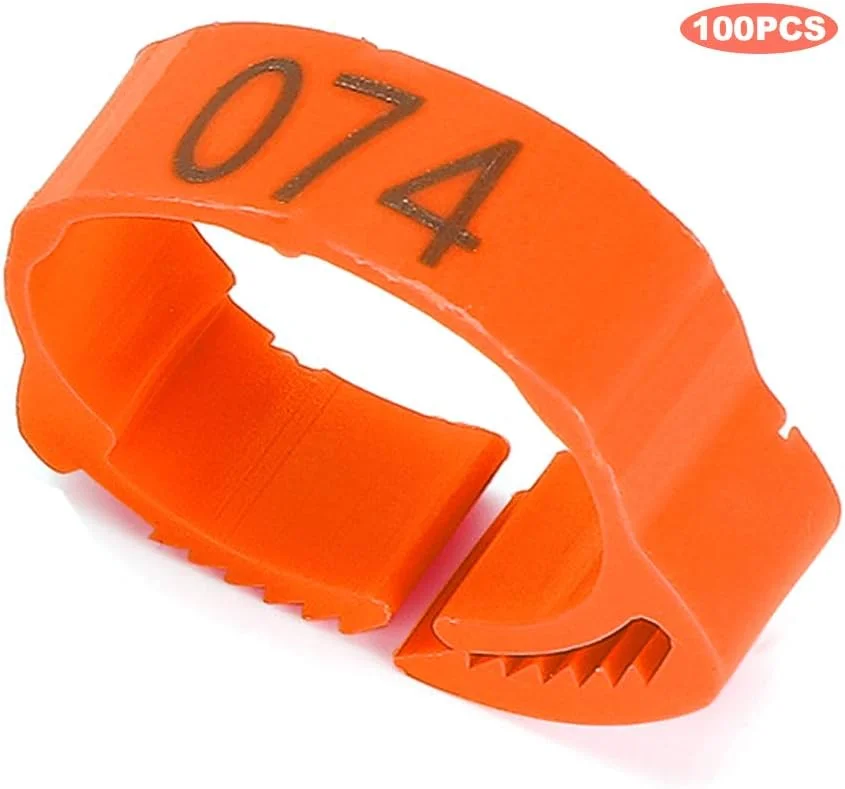 حلقه پای مرغ GLOGLOW، 100 عدد حلقه پای پرندگان شماره دار، 100 عدد نشانگر پا برای جوجه اردک های طیور، نوارهای نارنجی قابل استفاده مجدد، با مواد پلاستیکی روشن، برای اردک پرنده (قرمز گلگون) (نارنجی)