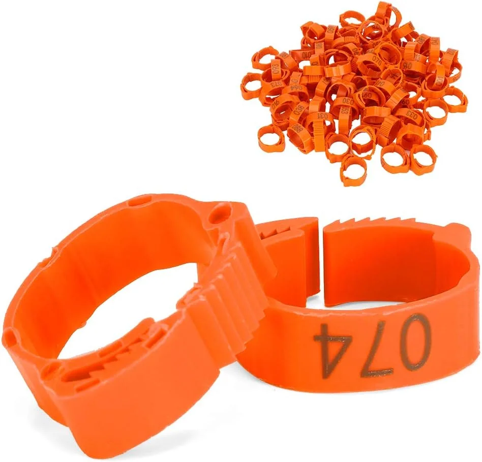 حلقه پای مرغ GLOGLOW، 100 عدد حلقه پای پرندگان شماره دار، 100 عدد نشانگر پا برای جوجه اردک های طیور، نوارهای نارنجی قابل استفاده مجدد، با مواد پلاستیکی روشن، برای اردک پرنده (قرمز گلگون) (نارنجی)