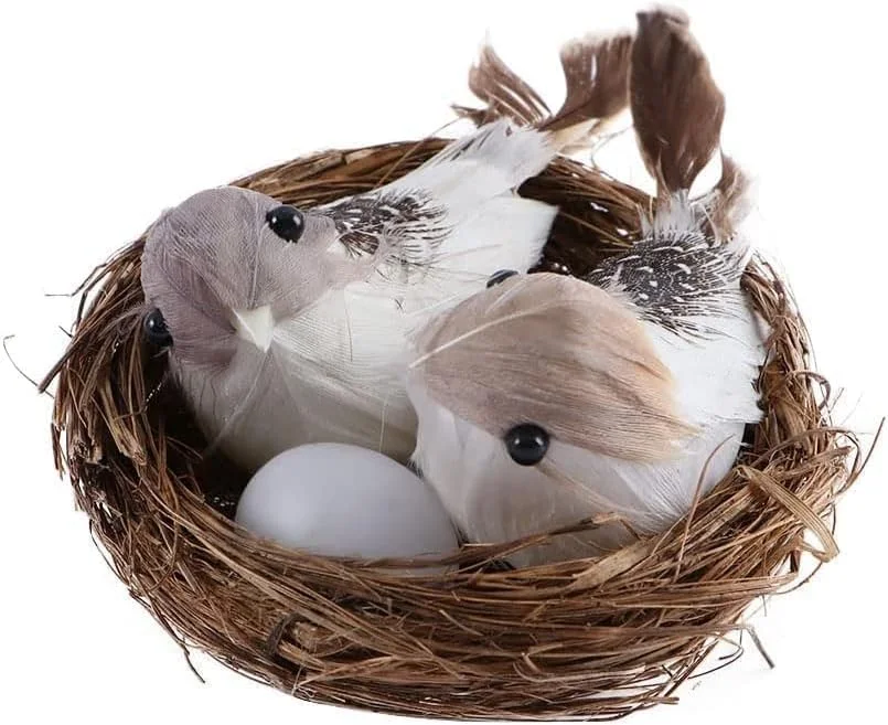 ست لانه پرنده مصنوعی با تخم و پرنده، لانه الیاف طبیعی بافته شده با دست با پرهای فومی، دکوراسیون DIY برای چیدمان گیاهان، باغ، عکاسی عروسی (30 سانتی متر)