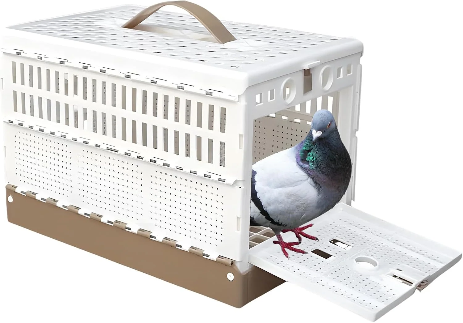 قفس طوطی | قفس تاشو قابل حمل، حامل اهلی سازی پرنده | برای آموزش اهلی سازی در فضای داخلی و خارجی، مسافرت، حمل و نقل و حیاط