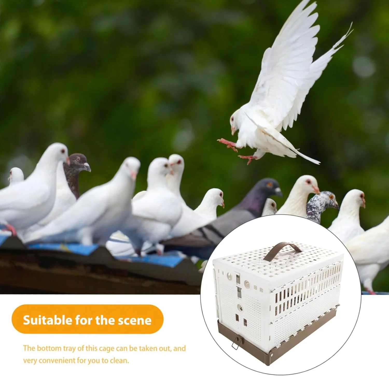 قفس طوطی | قفس تاشو قابل حمل، حامل اهلی سازی پرنده | برای آموزش اهلی سازی در فضای داخلی و خارجی، مسافرت، حمل و نقل و حیاط