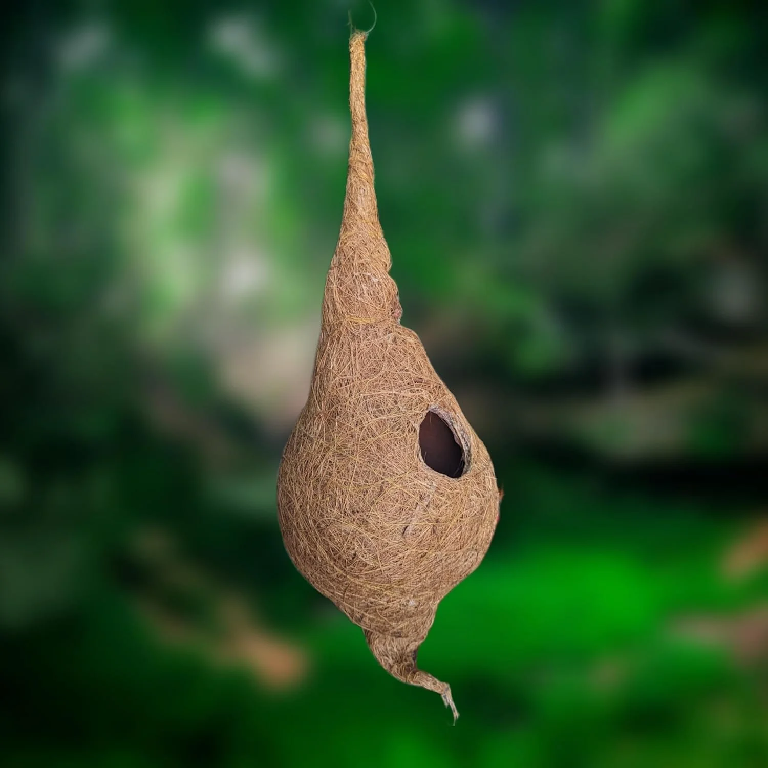 لانه پرنده گرد ارگانیک ایزی هلال، کاملا دست ساز، مناسب گنجشک و پرندگان کوچک، جنس الیاف نارگیل، رنگ قهوه ای (الیاف نارگیل با پوسته گلی)