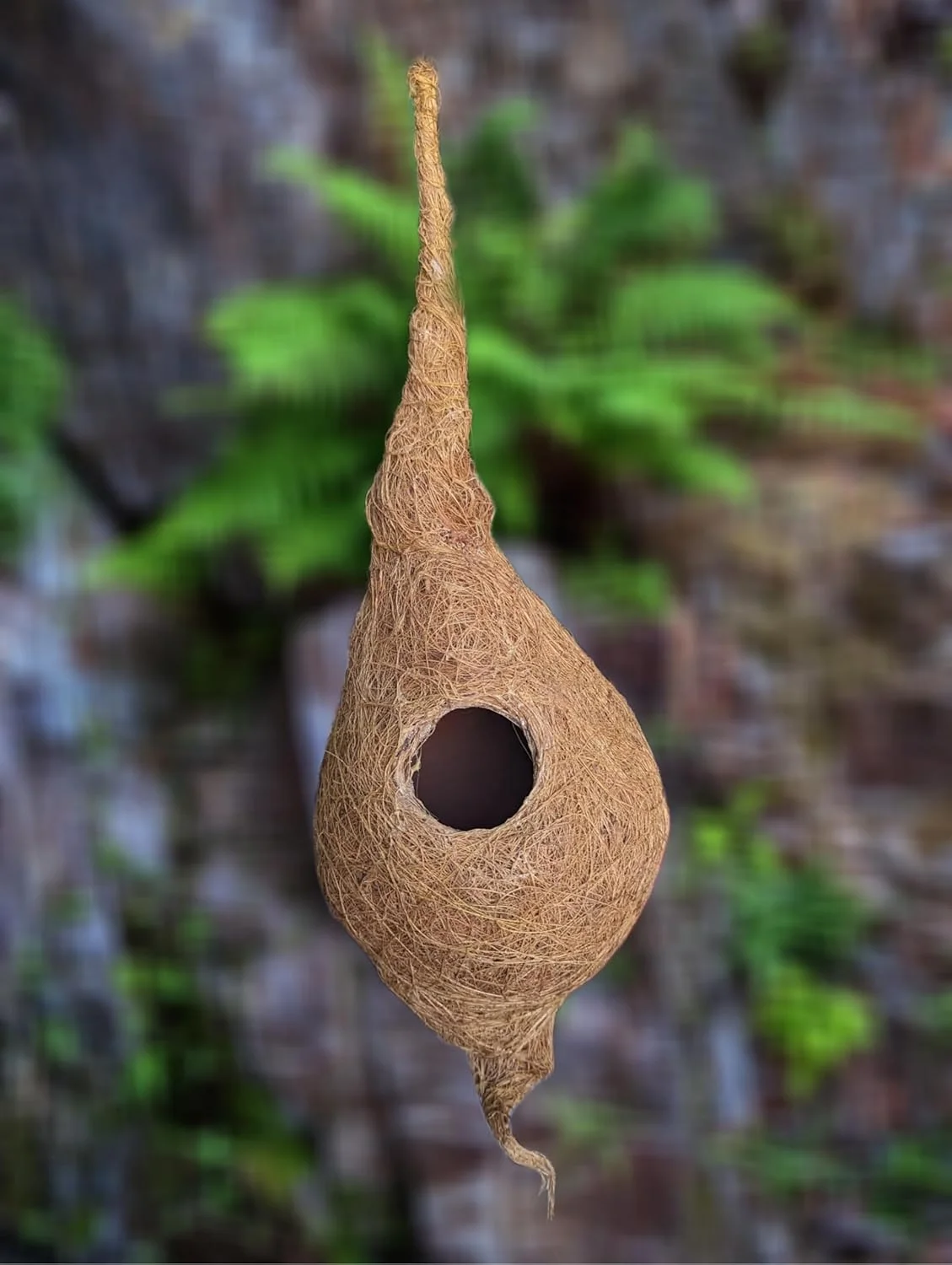 لانه پرنده گرد ارگانیک ایزی هلال، کاملا دست ساز، مناسب گنجشک و پرندگان کوچک، جنس الیاف نارگیل، رنگ قهوه ای (الیاف نارگیل با پوسته گلی)