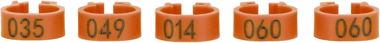 حلقه شناسایی کبوتر GLOGLOW، حلقه های پا طیور و حلقه های پای پرنده پلاستیکی سبک وزن و با کیفیت بالا برای پرندگان بالغ در فضای باز (قهوه ای) حلقه شناسایی کبوتر GLOGLOW، حلقه های پا طیور و حلقه های پای پرنده پلاستیکی سبک وزن و با کیفیت بالا برای پرندگان بالغ در فضای باز (قهوه ای)