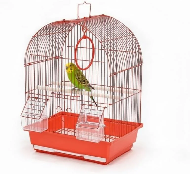 قفس پرنده گنبدی هایسن پت با کاسه های غذا و میله نشیمن، سیم فلزی قرمز، 2 ایستگاه تغذیه - 30 طول x 23 عرض x 41.5 ارتفاع سانتی متر قفس پرنده گنبدی هایسن پت با کاسه های غذا و میله نشیمن، سیم فلزی قرمز، 2 ایستگاه تغذیه - 30 طول x 23 عرض x 41.5 ارتفاع سانتی متر