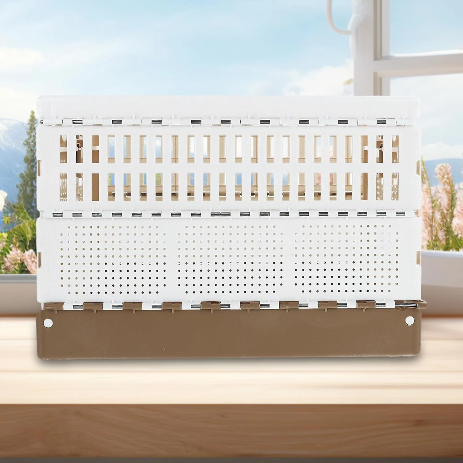 قفس طوطی، قفس قابل حمل ضد فرار - لانه حمل کننده طوطی پرنده | برای آموزش اهلی سازی، حیاط، حمل و نقل در فضای داخلی و خارجی