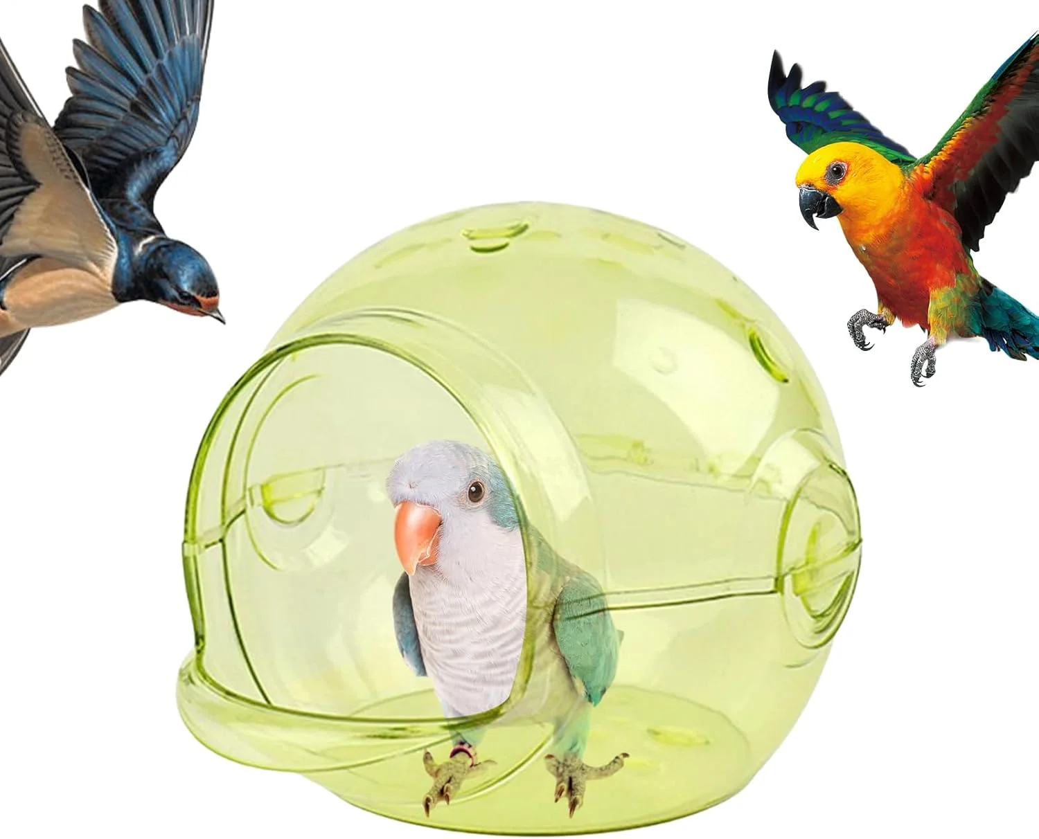 لانه پرنده | خانه/کلبه کوچک تخت پرنده - لوازم جانبی قفس شفاف، کلبه پرورش برای حیوانات کوچک، مرغ عشق، فنچ، قناری، باجریگار، کانور، همستر، عروس هلندی