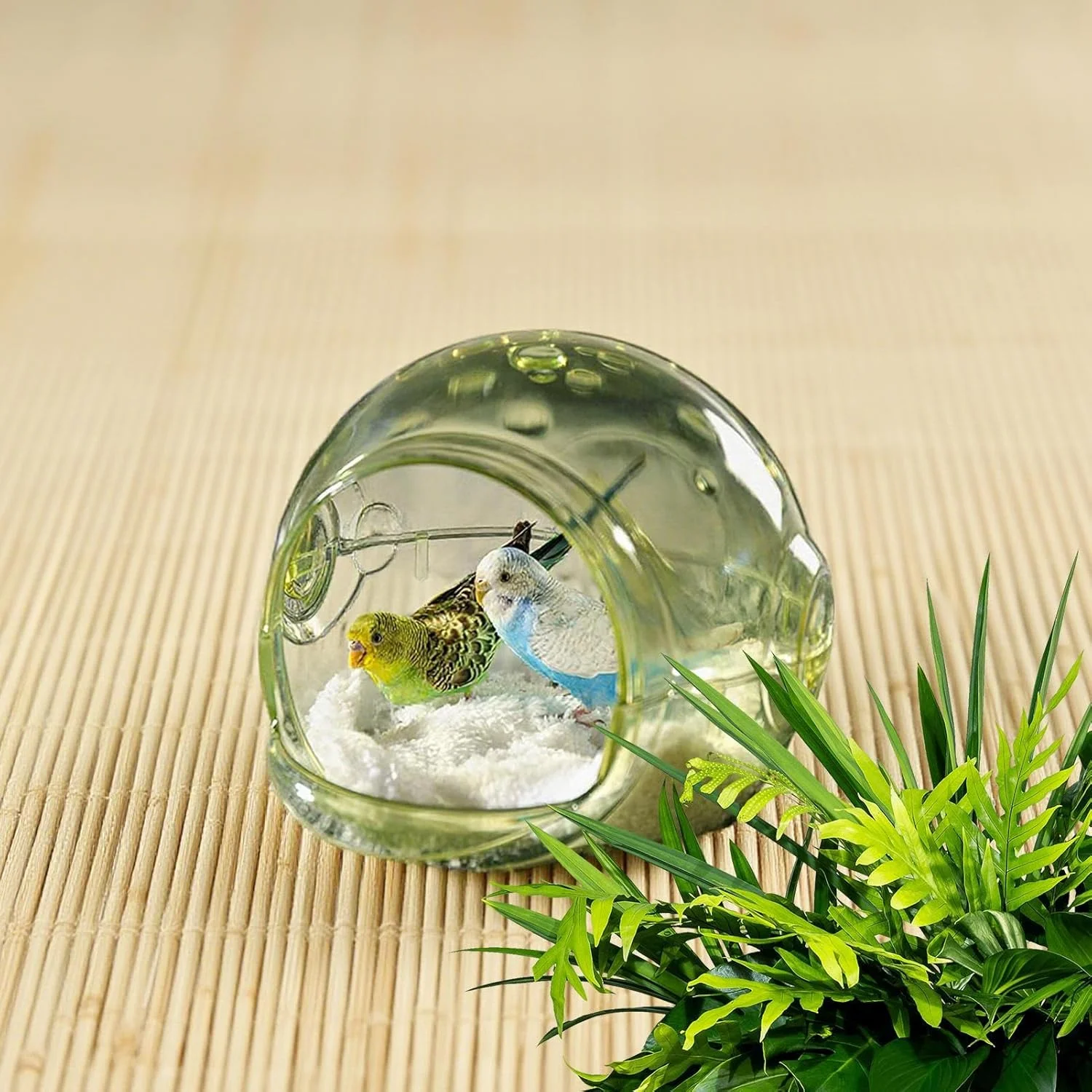 لانه طوطی | لانه پرورش پرنده - خانه لانه سازی شفاف و لوازم جانبی قفس پناهگاه برای همستر، کانور، قناری، عروس هلندی، فنچ، مرغ عشق و حیوانات کوچک