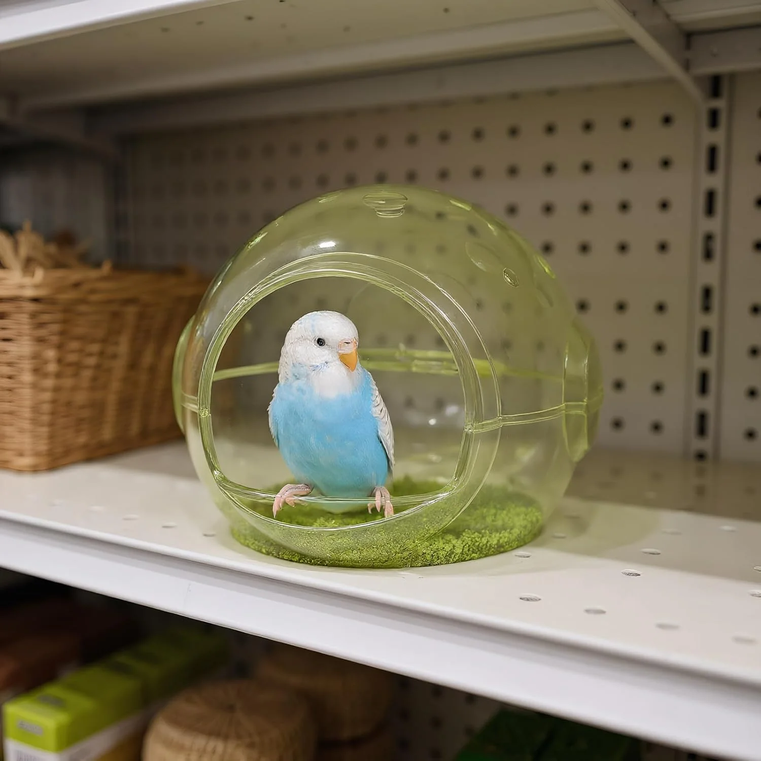 لانه طوطی - کلبه پرورش طوطی برزیلی، قفس سرپناه خانه پرنده با قابلیت مشاهده واضح، لوازم جانبی برای همستر، کانور، قناری، عروس هلندی، فنچ، مرغ عشق، حیوانات کوچک