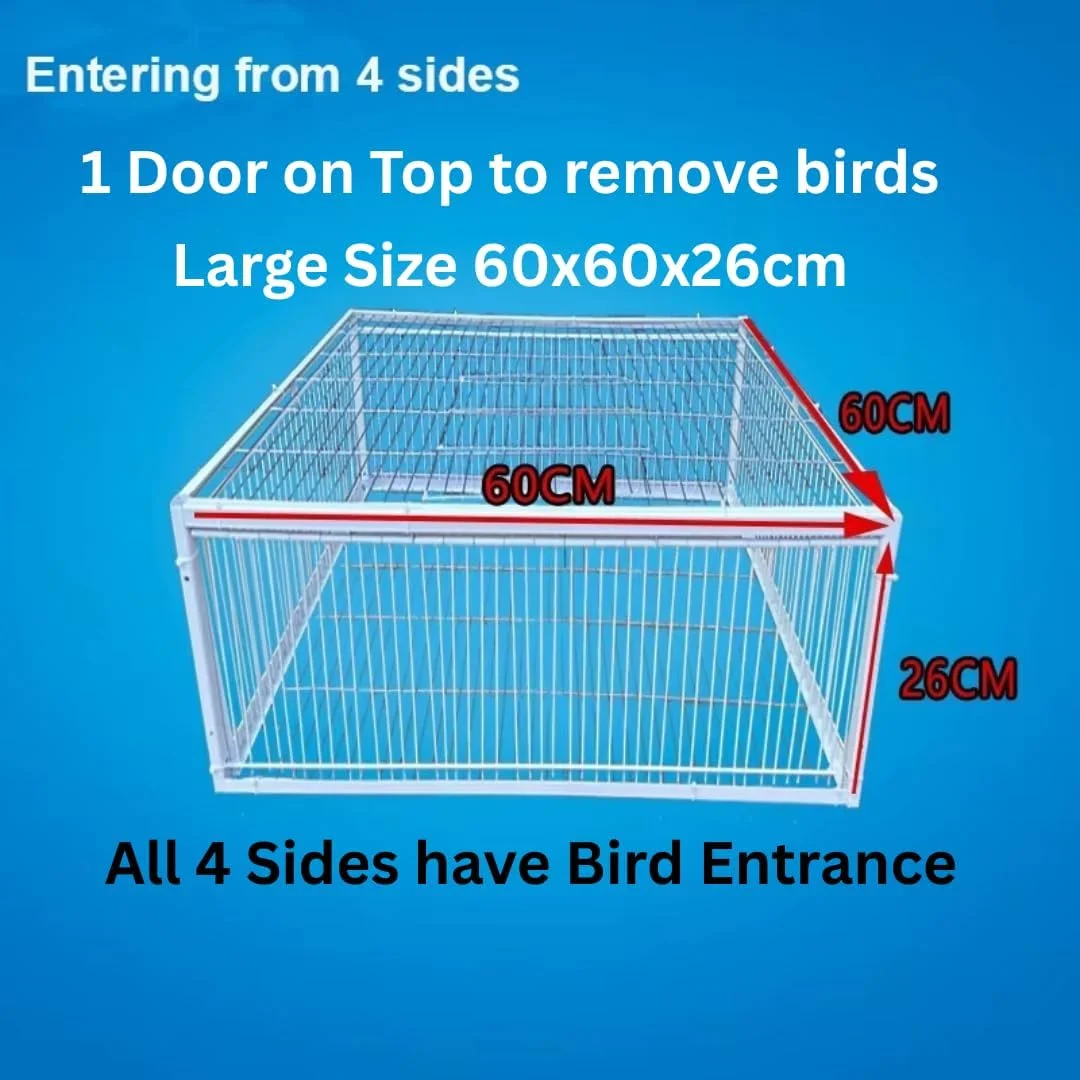 تله قفس کبوتر – تله پرنده فلزی سفید با درب دسترسی به سقف، ورود 4 طرفه، طراحی انسانی – موجود در ابعاد 60x60x26cm و 90x60x26cm – برای کبوترها، قمری ها و پرندگان کوچک (بزرگ)