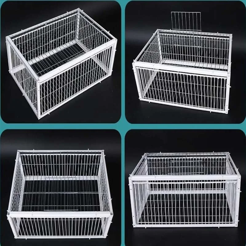 تله قفس کبوتر – تله پرنده فلزی سفید با درب دسترسی به سقف، ورود 4 طرفه، طراحی انسانی – موجود در ابعاد 60x60x26cm و 90x60x26cm – برای کبوترها، قمری ها و پرندگان کوچک (بزرگ)