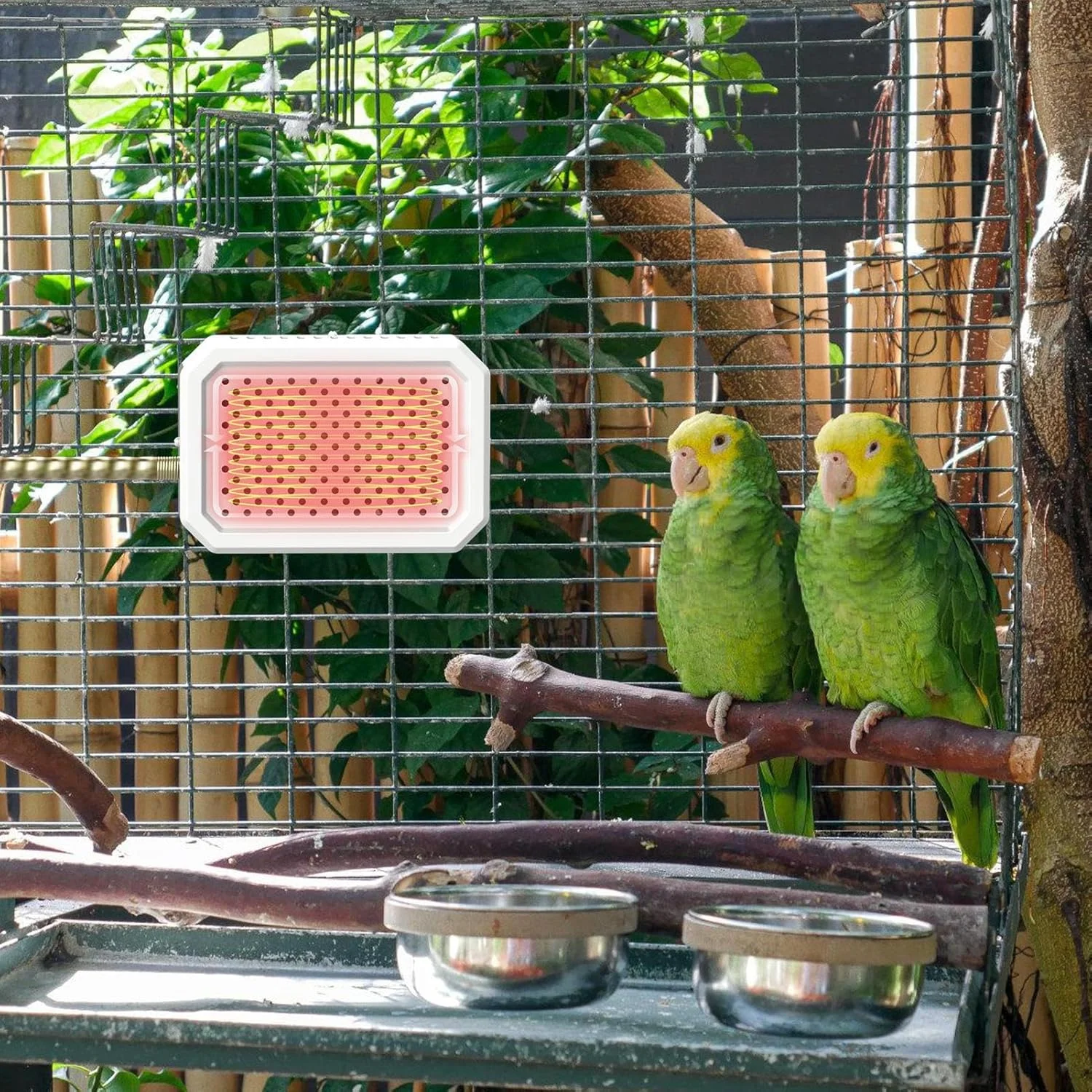 گرمکن خانه پرنده | گرمکن ترموستاتیک لانه، لوازم دوزیستان برای خوکچه هندی، مناسب فضای باز، زمستان، خزندگان، طوطی، مرغ، حمام، جوجه و لانه سازی