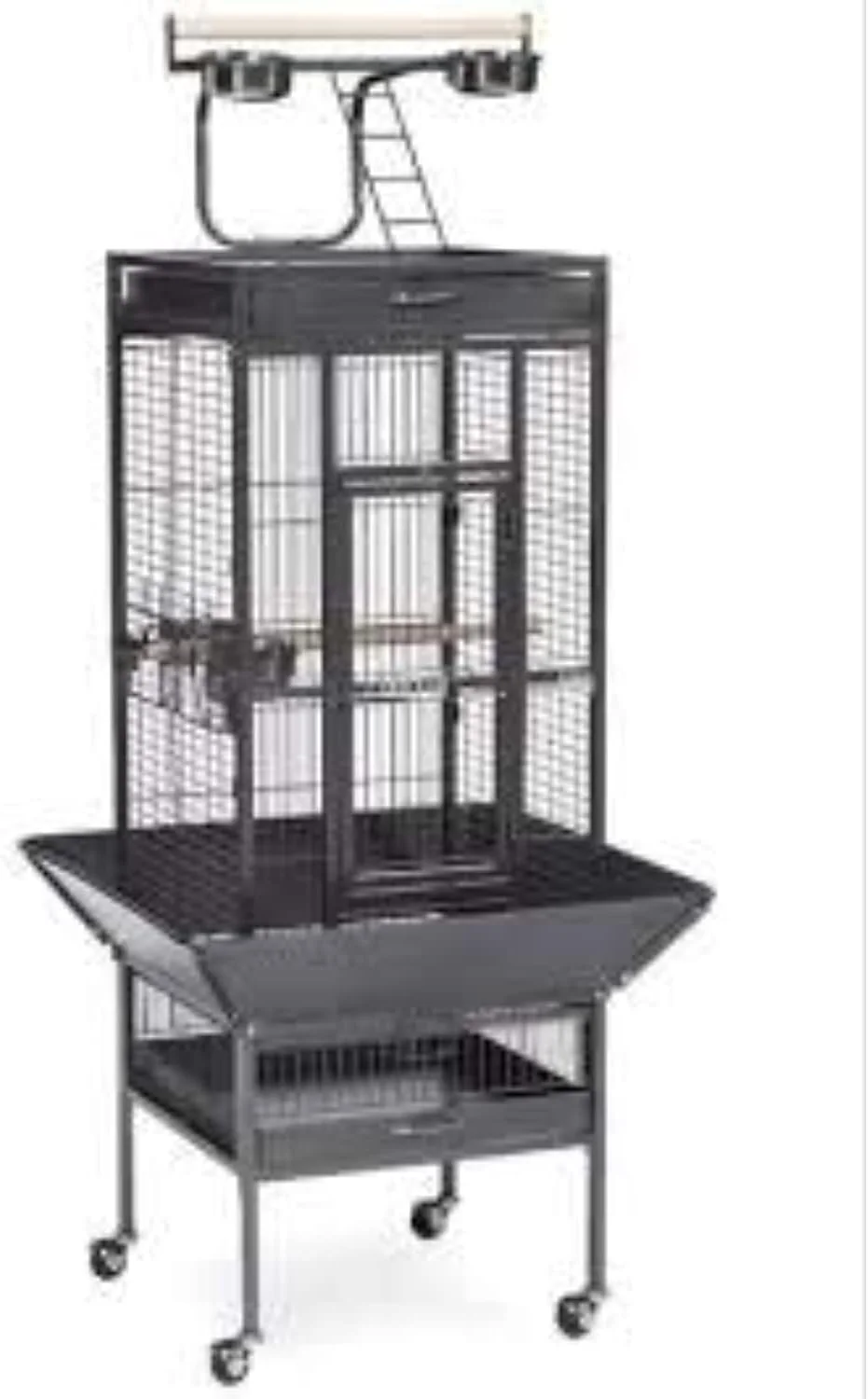 قفس پرنده DAYANG برای طوطی های بزرگ (67x67x156 سانتی متر)