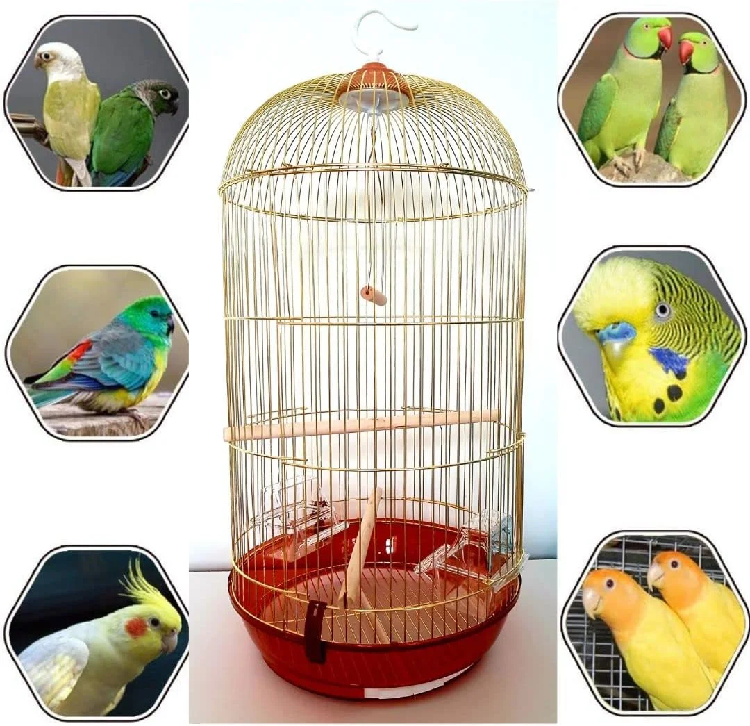 قفس پرنده بزرگ طلایی، دارای ظرف غذا، تاب و چوب مناسب برای طوطی های کوچک و متوسط مانند کانور، پاراکیت، مرغ عشق، فیشر، عروس هلندی، قناری و فنچ طلایی