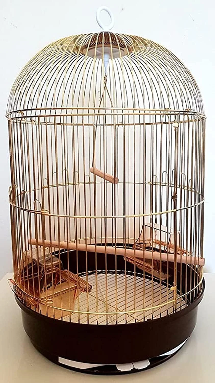 قفس بزرگ پرنده طلایی بزرگ، دارای ظرف غذا، تاب و چوب مناسب برای طوطی های کوچک و متوسط مانند کانور، پاراکیت، مرغ عشق، کوکاتیل، قناری و فنچ طلایی