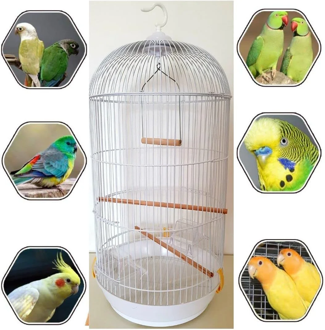 قفس بزرگ پرنده سفید بزرگ، با ظرف غذا، تاب و چوب مناسب برای طوطی های کوچک و متوسط​​ مانند کانور، پاراکیت، مرغ عشق، فیشر، عروس هلندی، قناری و فنچ طلایی