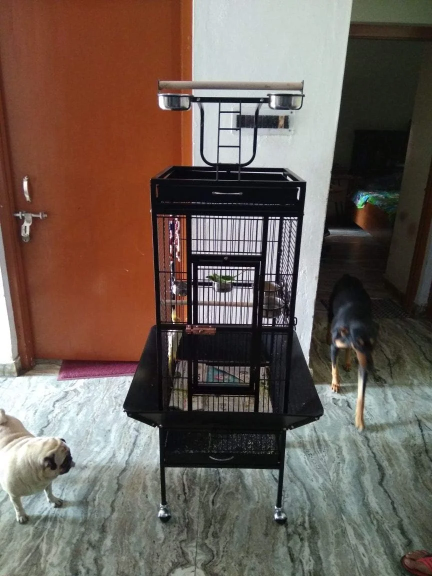 قفس وارداتی پرندگان - مناسب برای کاسکو، کانور، مرغ عشق، عروس هلندی و غیره قفس وارداتی پرندگان - مناسب برای کاسکو، کانور، مرغ عشق، عروس هلندی و غیره