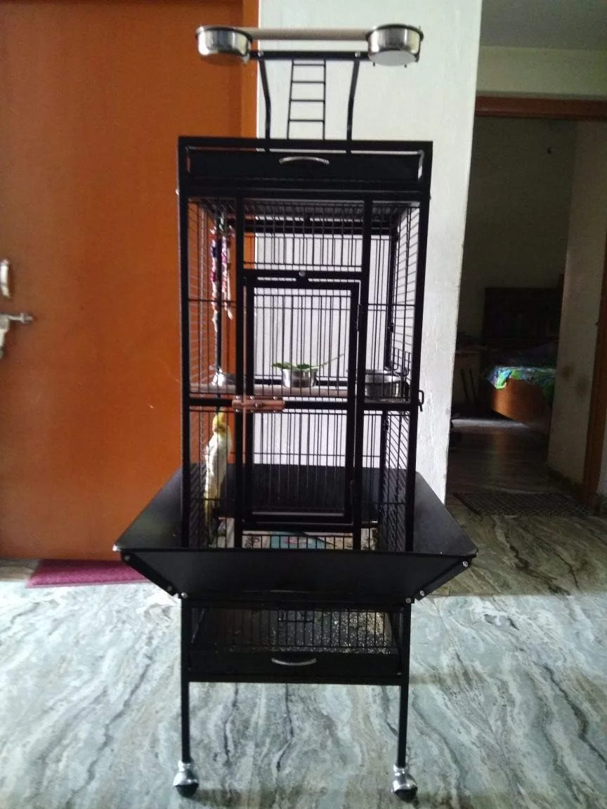 قفس وارداتی پرندگان - مناسب برای کاسکو، کانور، مرغ عشق، عروس هلندی و غیره قفس وارداتی پرندگان - مناسب برای کاسکو، کانور، مرغ عشق، عروس هلندی و غیره