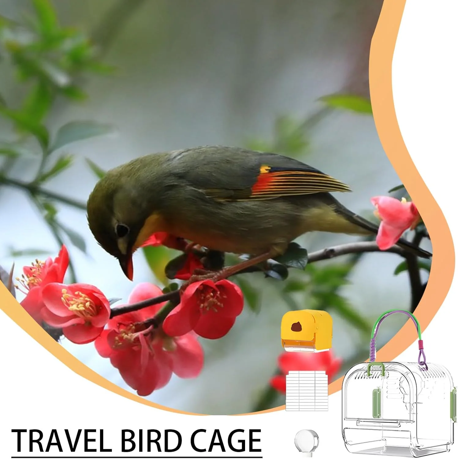 قفس حمل پرنده، قفس مسافرتی طوطی با سینی کشویی - لوازم بازی حیوانات خانگی، زیستگاه تاشو پرنده برای طوطی برزیلی، کانور، مرغ عشق، عروس هلندی، ماکائو