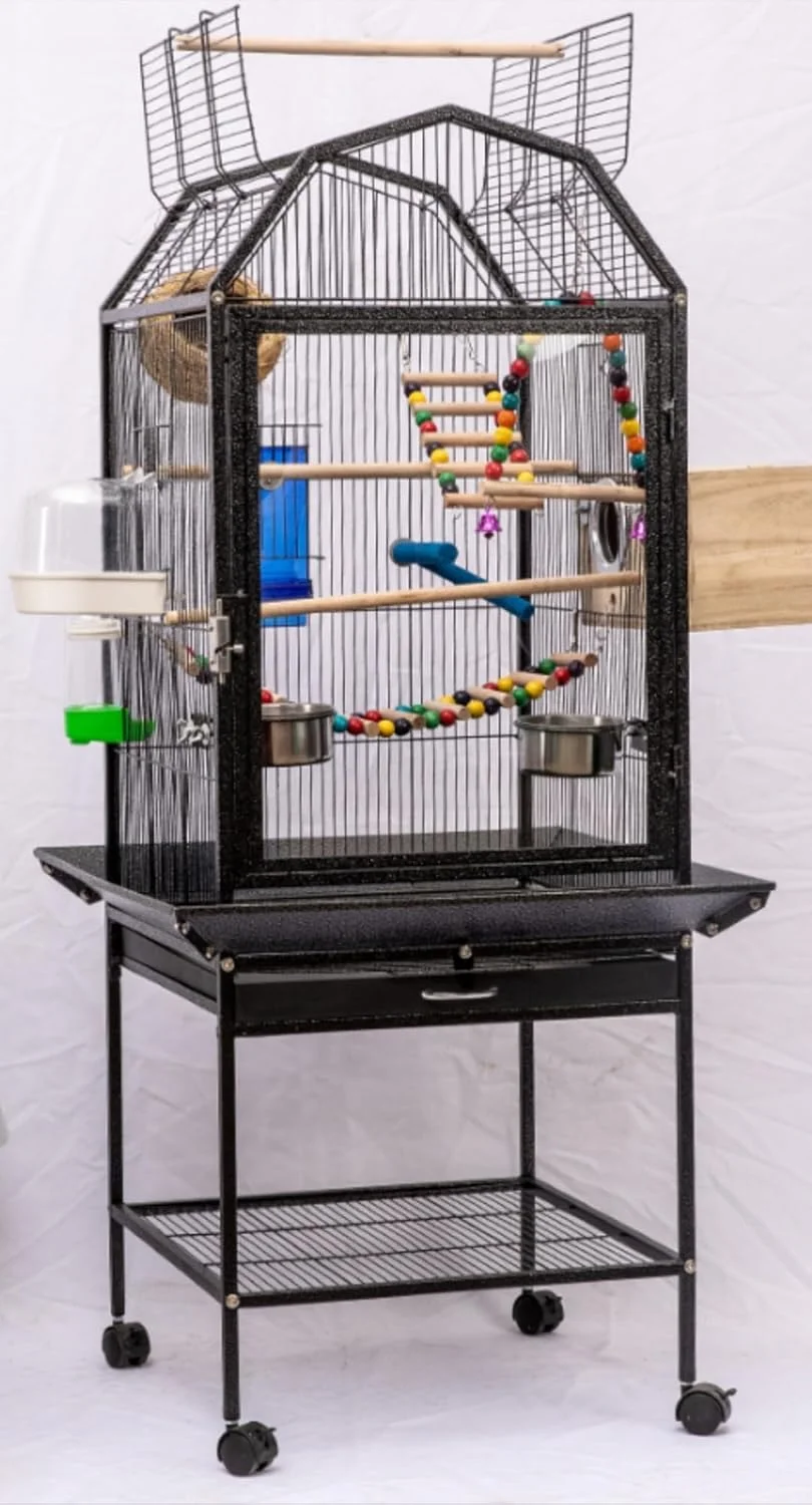 قفس طوطی شاموا با نمای جلویی اکریلیک به همراه پایه چرخ دار، 3 چوب نشیمن و 2 ظرف غذا، بزرگ با پایه بالایی مناسب برای طوطی های بزرگ مانند کاسکو، کاکاتو، کانور، پاراکیت، مرغ عشق، فیشر، 123.57.57 سانتی متر (B)