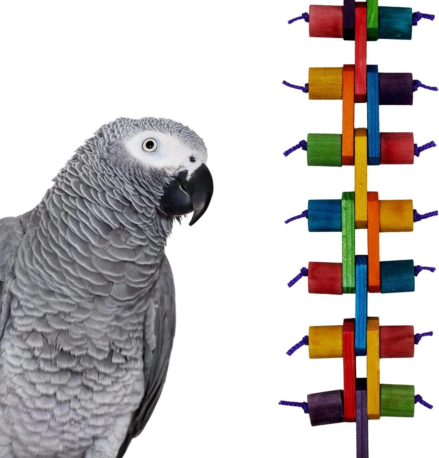 اسباب بازی پرنده Super Bird Creations SB1158 Link 'n Chew، سایز متوسط/بزرگ، 20 x 4