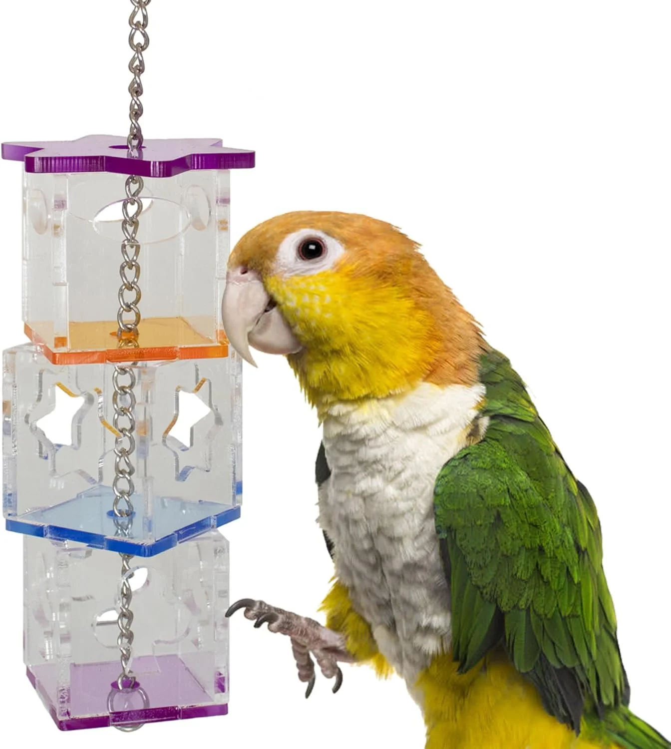 اسباب بازی مکعب های جستجوی غذا سوپر برد کریشنز