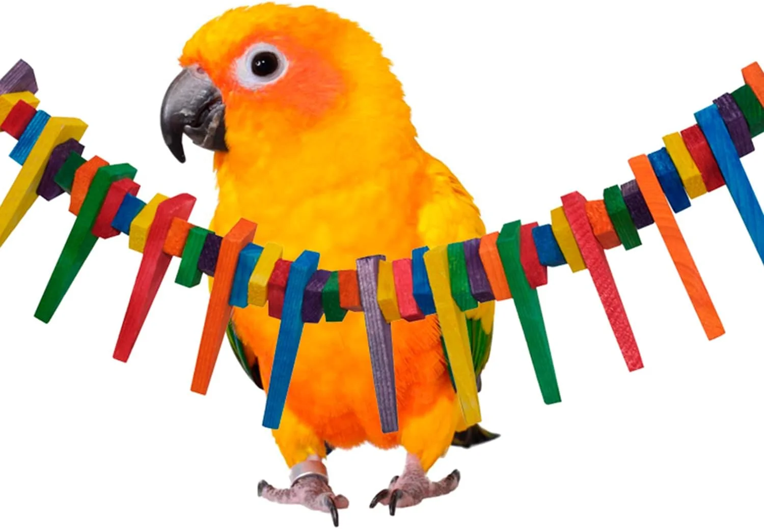 اسباب بازی پرنده مثلثی کوچک سوپر برد کریشنز، 48 در 12.7 سانتی متر، متوسط