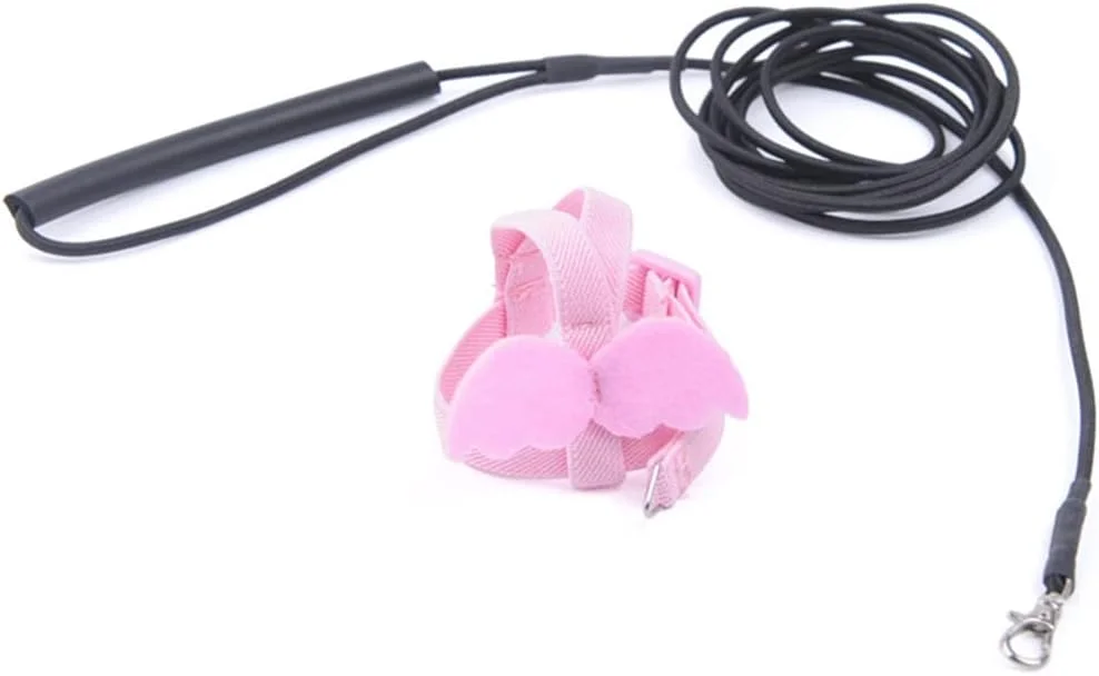 هارنس پرنده قابل تنظیم QIANZHENGHUA با افسار 2 متری مناسب آموزش پرواز در فضای باز برای طوطی ها با وزن 70-120 گرم