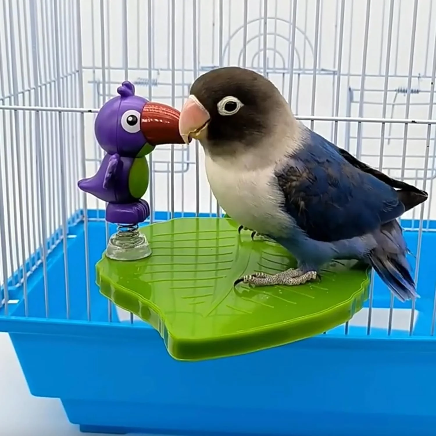 جایگاه طوطی برای قفس - جایگاه سینی قفس به شکل برگ | لوازم جانبی پرنده تعاملی نفیس برای اتاق خواب، اتاق نشیمن، خوابگاه، دکوراسیون منزل