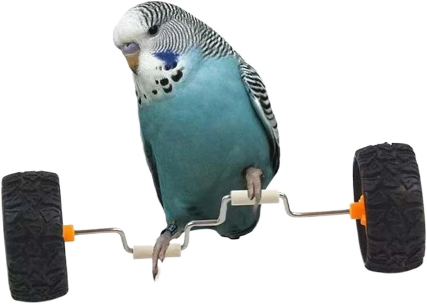 دوچرخه تعادلی طوطی - اسباب بازی تعادلی قفس پرنده رول ردیف | وسیله نقلیه تعادلی سرگرم کننده و هوشمندانه برای غنی سازی کاکتیل ها مناسب برای نمایش خانگی، فروشگاه حیوانات خانگی، روی میز، شیشه و چوب