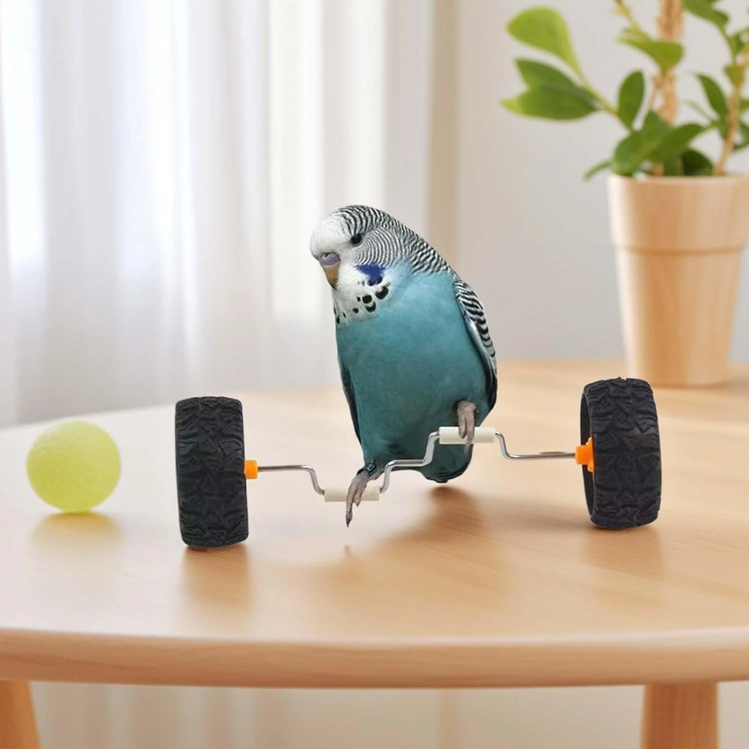 دوچرخه تعادلی طوطی - اسباب بازی تعادلی قفس پرنده رول ردیف | وسیله نقلیه تعادلی سرگرم کننده و هوشمندانه برای غنی سازی کاکتیل ها مناسب برای نمایش خانگی، فروشگاه حیوانات خانگی، روی میز، شیشه و چوب