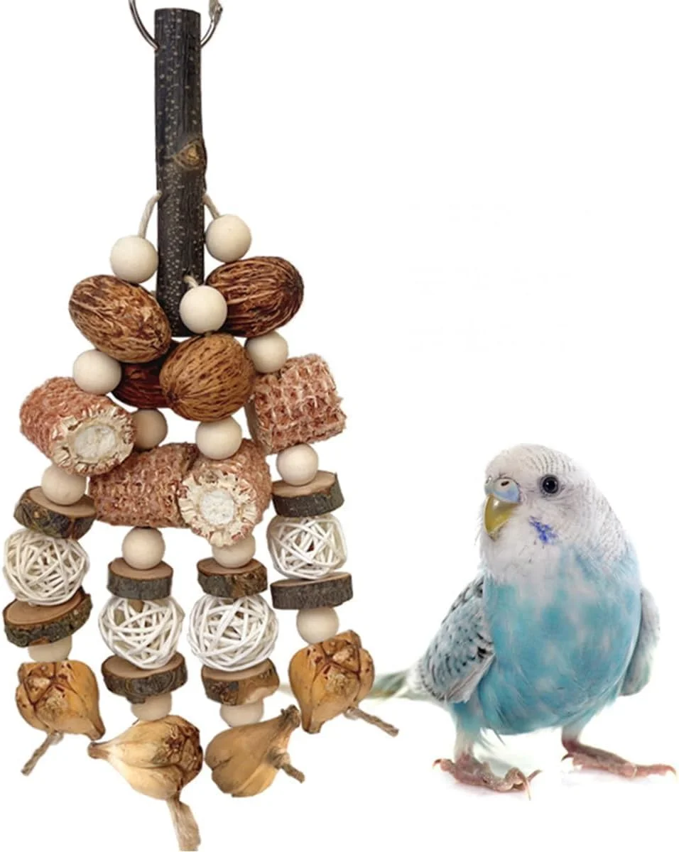 اسباب بازی طوطی برای پرندگان بزرگ، اسباب بازی پرنده، اسباب بازی های جویدنی آویز ذرت طبیعی، اسباب بازی های داخلی و خارجی برای مرغ عشق، عروس هلندی، فنچ، ماکائو