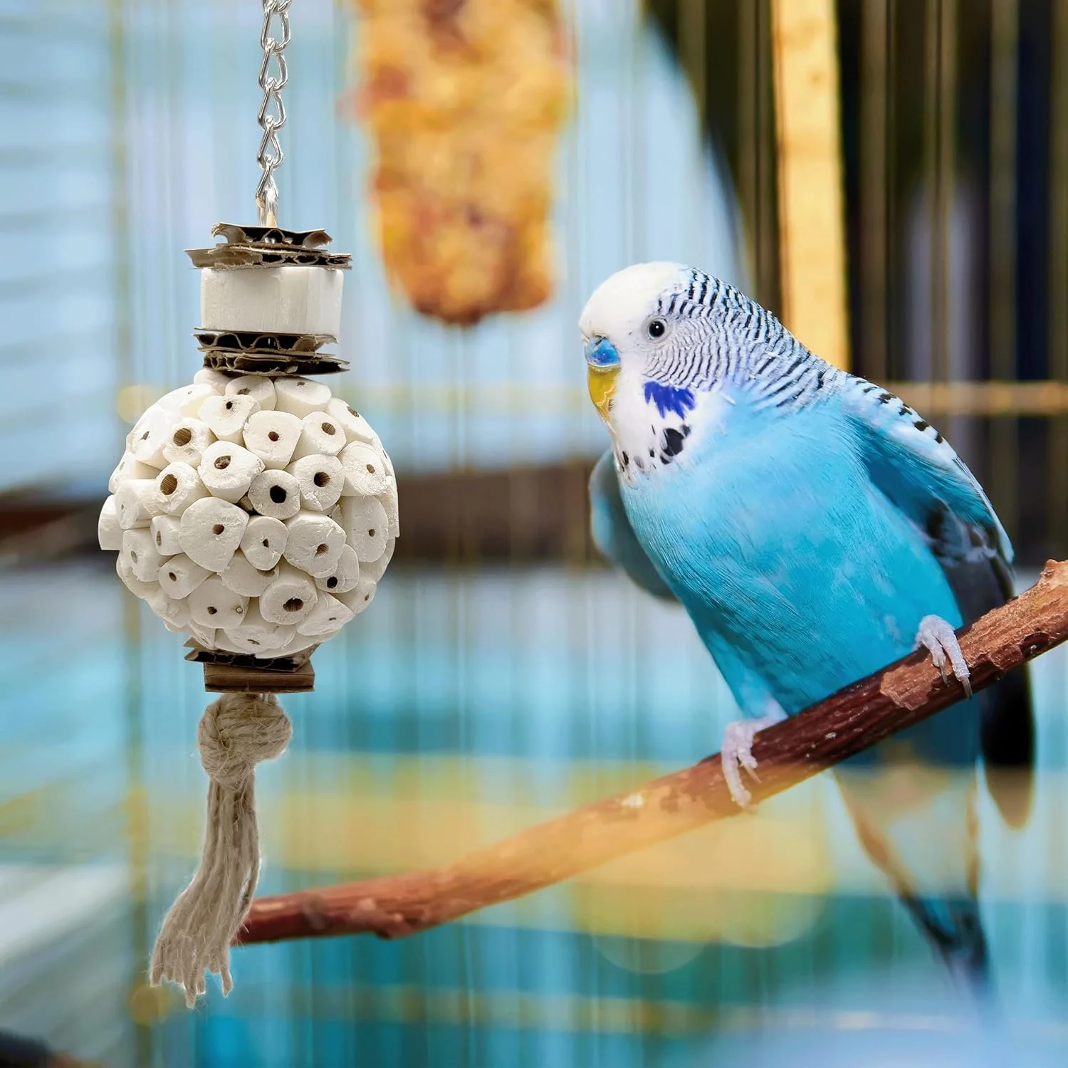 اسباب بازی جویدنی کوچک 5114 Sola Muncher از M&M - جویدنی طبیعی دست ساز برای حیوانات خانگی کوچک، گرفتن آسان، لذت بخش برای نوک