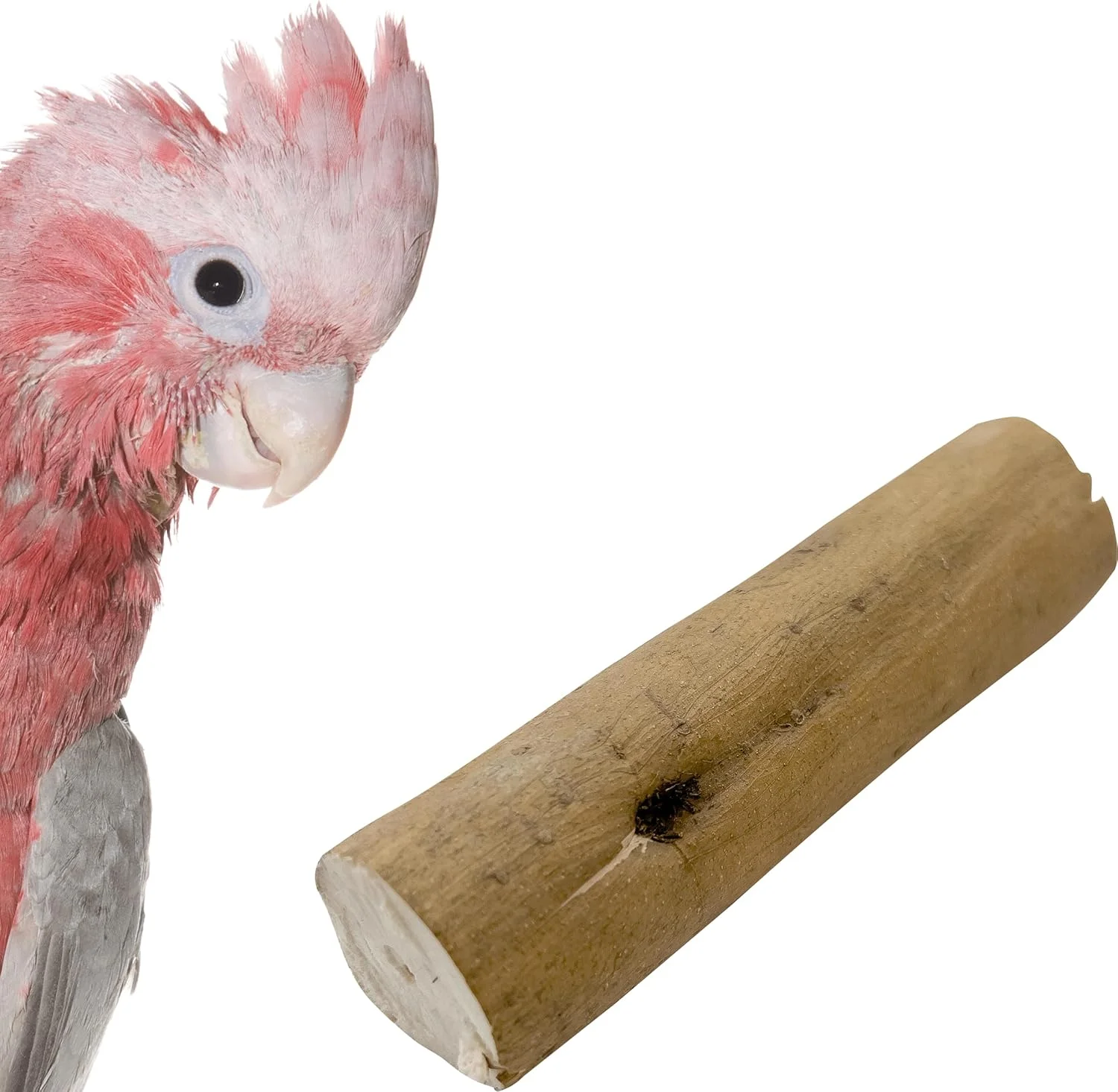 M&M 5514 Pk4 Bark Sola Logs - اسباب بازی های چوبی سبک وزن و جویدنی برای پای پرندگان، جویدن آسان، کاربردهای متنوع، قابلیت خرد شدن، سرگرمی جستجوگری، عالی برای حیوانات خانگی کوچک و متوسط