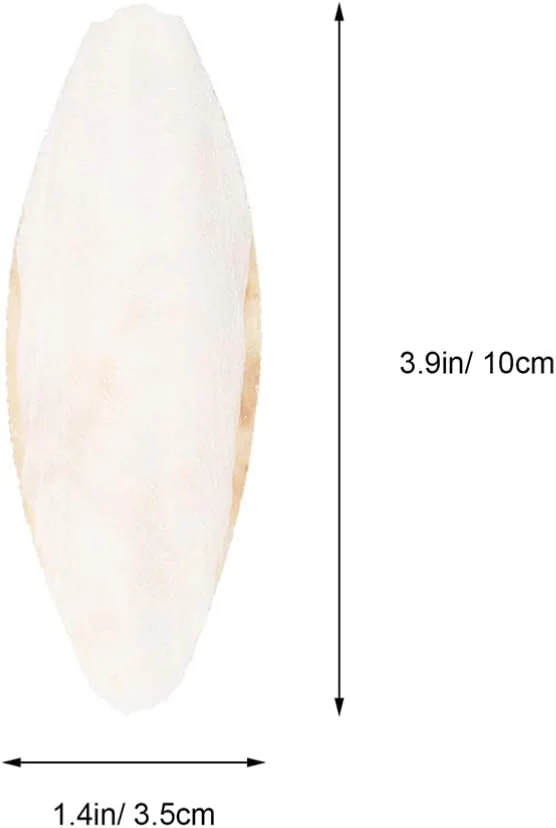 10 عدد اسباب بازی جویدنی پرنده استخوان سپیداج نمک زدایی شده طوطی، اسباب بازی دندان درآوردن و ساییدن دندان حیوانات خانگی برای طوطی های کوچک، مرغ عشق ها، عروس هلندی ها و باجریگارها / 6 10 عدد اسباب بازی جویدنی پرنده استخوان سپیداج نمک زدایی شده طوطی، اسباب بازی دندان درآوردن و ساییدن دندان حیوانات خانگی برای طوطی های کوچک، مرغ عشق ها، عروس هلندی ها و باجریگارها / 6