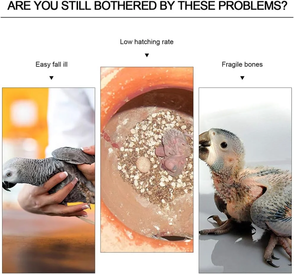 JOPESA بسته 10 عددی اسباب بازی جویدنی پرنده، استخوان ماهی مرکب بدون نمک، اسباب بازی دندان درآوردن و ساییدن پرندگان خانگی برای طوطی های کوچک، مرغ عشق ها، عروس هلندی ها، باجریگارها/6