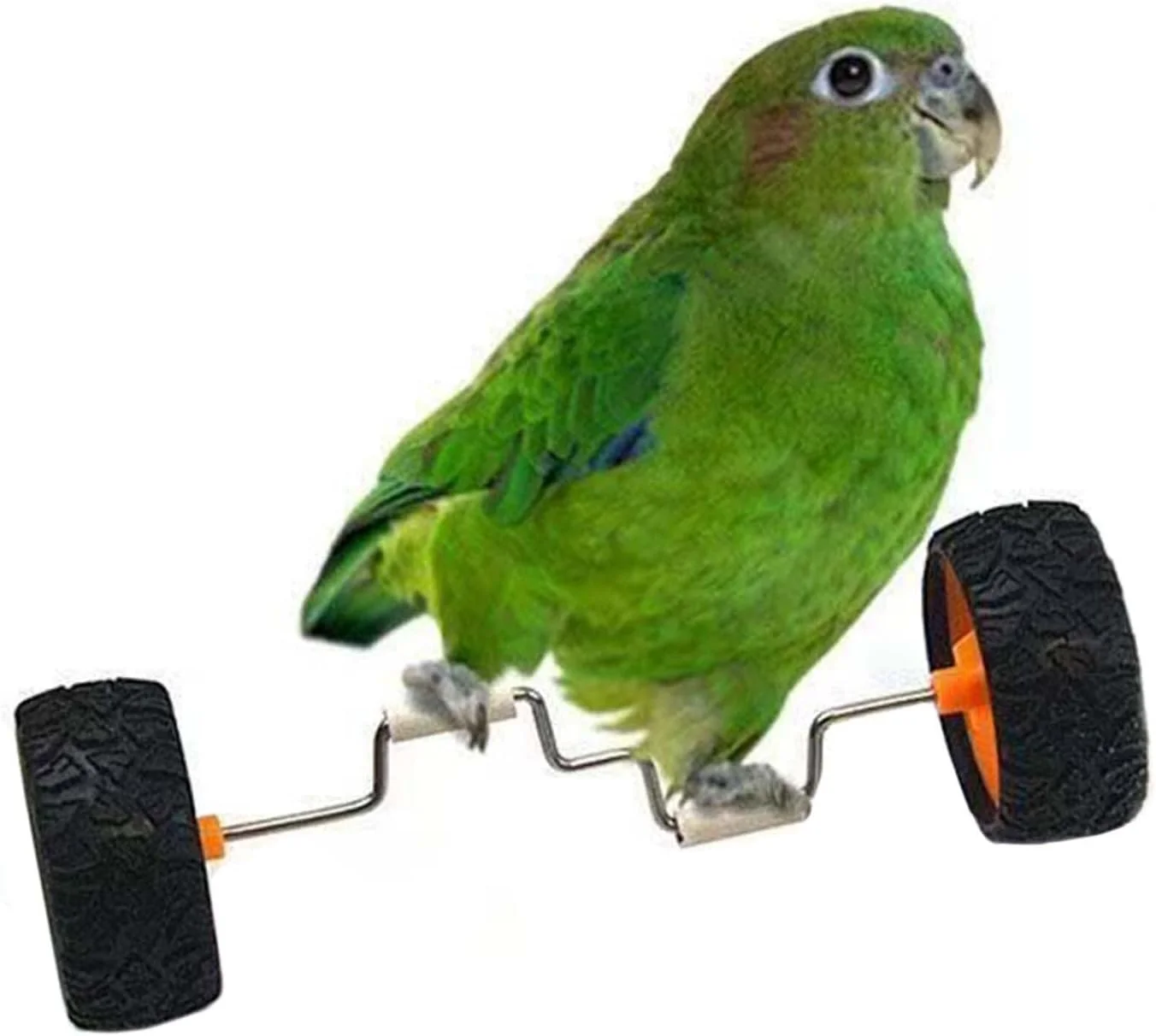 اسباب بازی تعادلی طوطی | اسباب بازی آموزشی قفس پرنده تعاملی، فعالیت جذاب و غنی کننده هوش برای قفس، چوبی، مناسب برای نمایش روی میز شیشه ای خانه