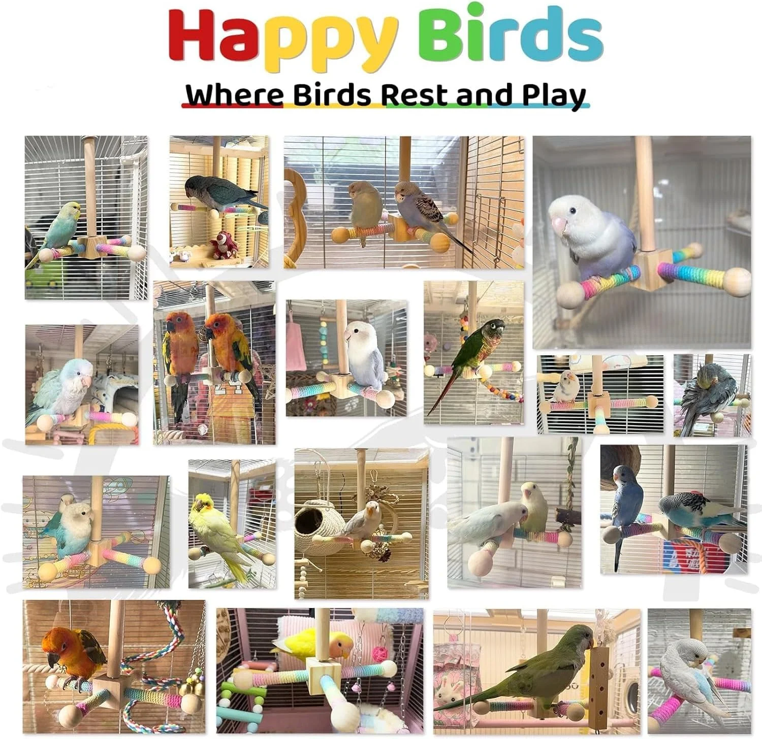 اسباب بازی چوبی نشیمنگاه پرنده هزل، اسباب بازی تعاملی چرخشی 360 درجه طوطی، لوازم جانبی قفس پرنده برای طوطی های کوچک و متوسط ​​برای صرف انرژی، پایه چوبی برای پاراکیت ها، عروس هلندی ها، مرغ عشق ها، کانورها، فنچ ها و باجی ها
