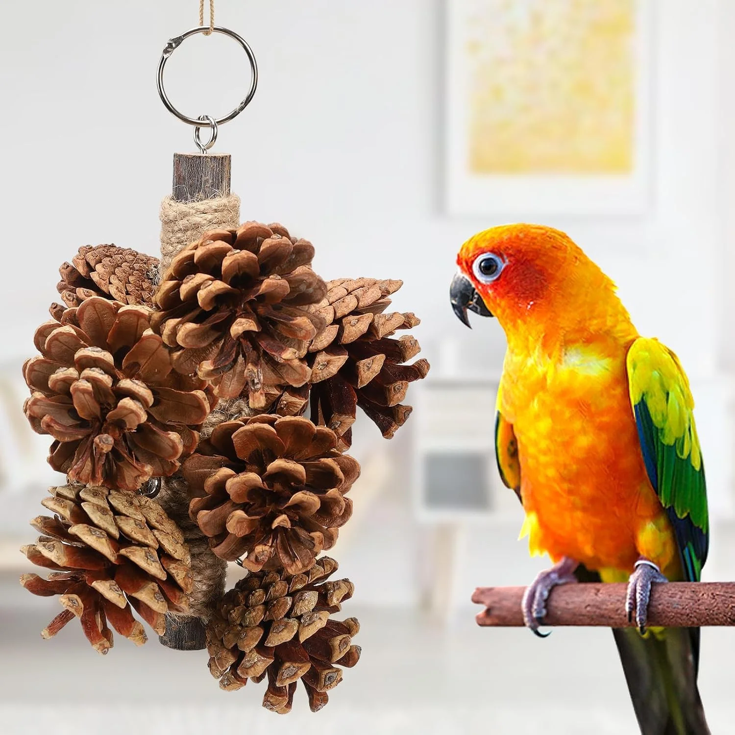 اسباب بازی پرنده HBSTUDIO با 8 عدد مخروط کاج، اسباب بازی چوبی طبیعی طوطی، اسباب بازی های چوبی جویدنی آویز 20 سانتی متری برای طوطی های کانور، مرغ عشق، کاکادو، خاکستری آفریقایی و آمازون
