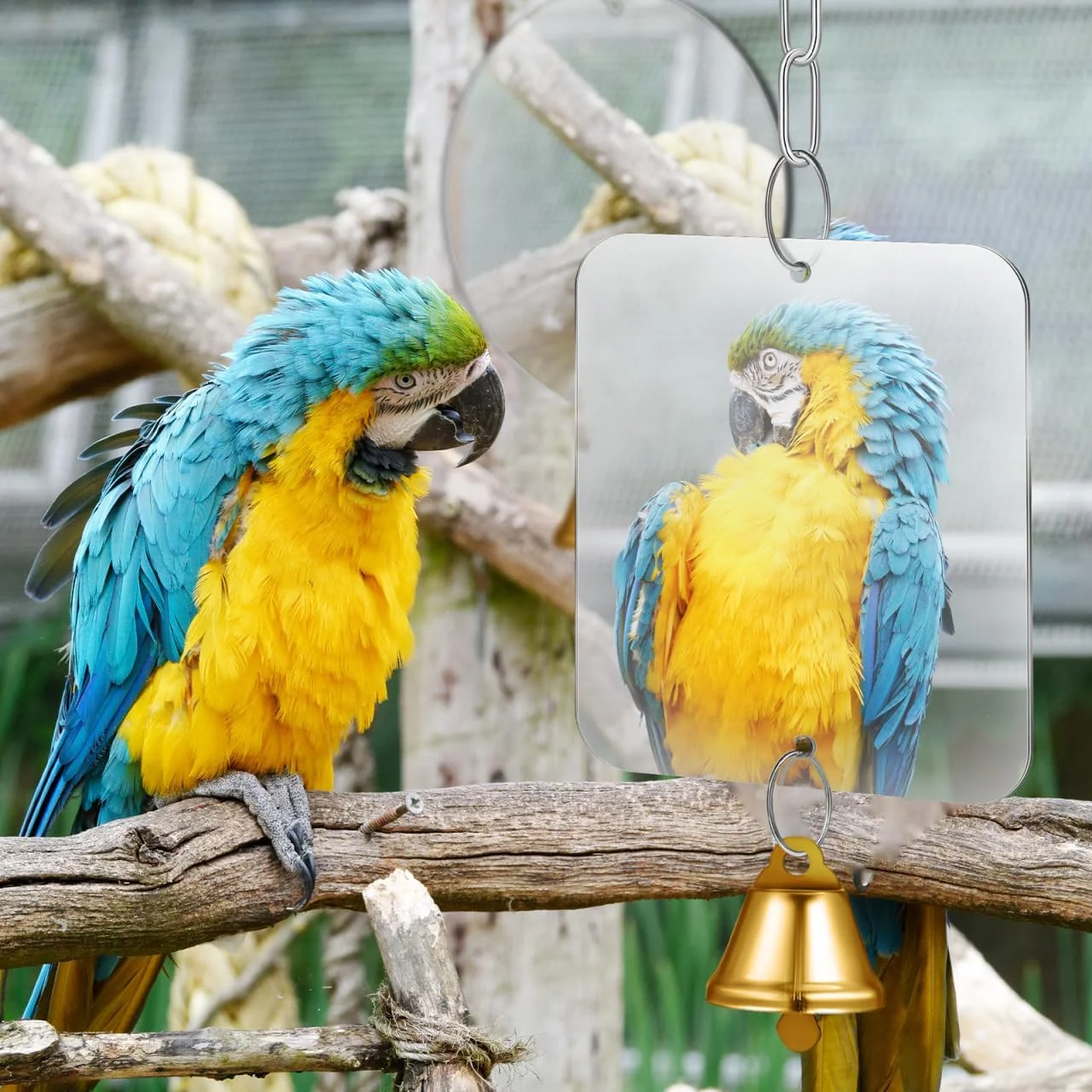 Happyyami 2 عدد آینه پرنده با زنگوله برای لوازم جانبی قفس طوطی با زنجیر استیل اسباب بازی آویز برای مرغ عشق، عروس هلندی، کانور و فنچ