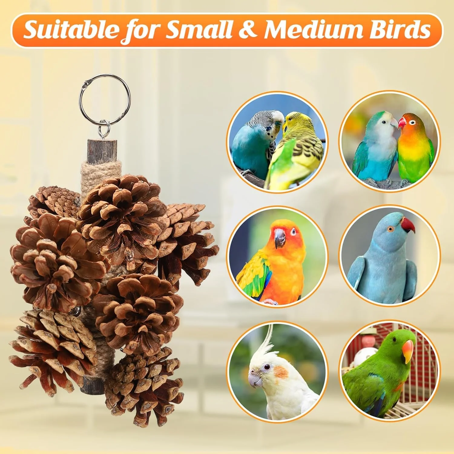 اسباب بازی پرنده HBSTUDIO با 8 عدد مخروط کاج، اسباب بازی چوبی طبیعی طوطی، اسباب بازی های چوبی جویدنی آویز 20 سانتی متری برای طوطی های کانور، مرغ عشق، کاکادو، خاکستری آفریقایی و آمازون