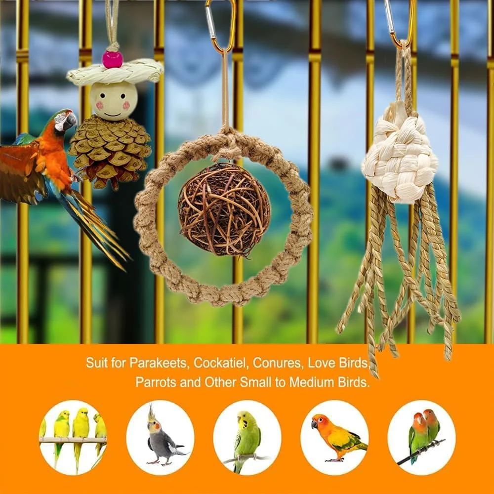 اسباب بازی پرندگان GOCHAI، 3 عدد اسباب بازی خرد کردنی و جستجوی غذا برای طوطی ها، اسباب بازی جویدنی آویزان برای طوطی برزیلی، لوازم جانبی قفس پرنده با مخروط کاج خرد شده برای طوطی کوتوله، عروس هلندی، مرغ عشق و طوطیچه