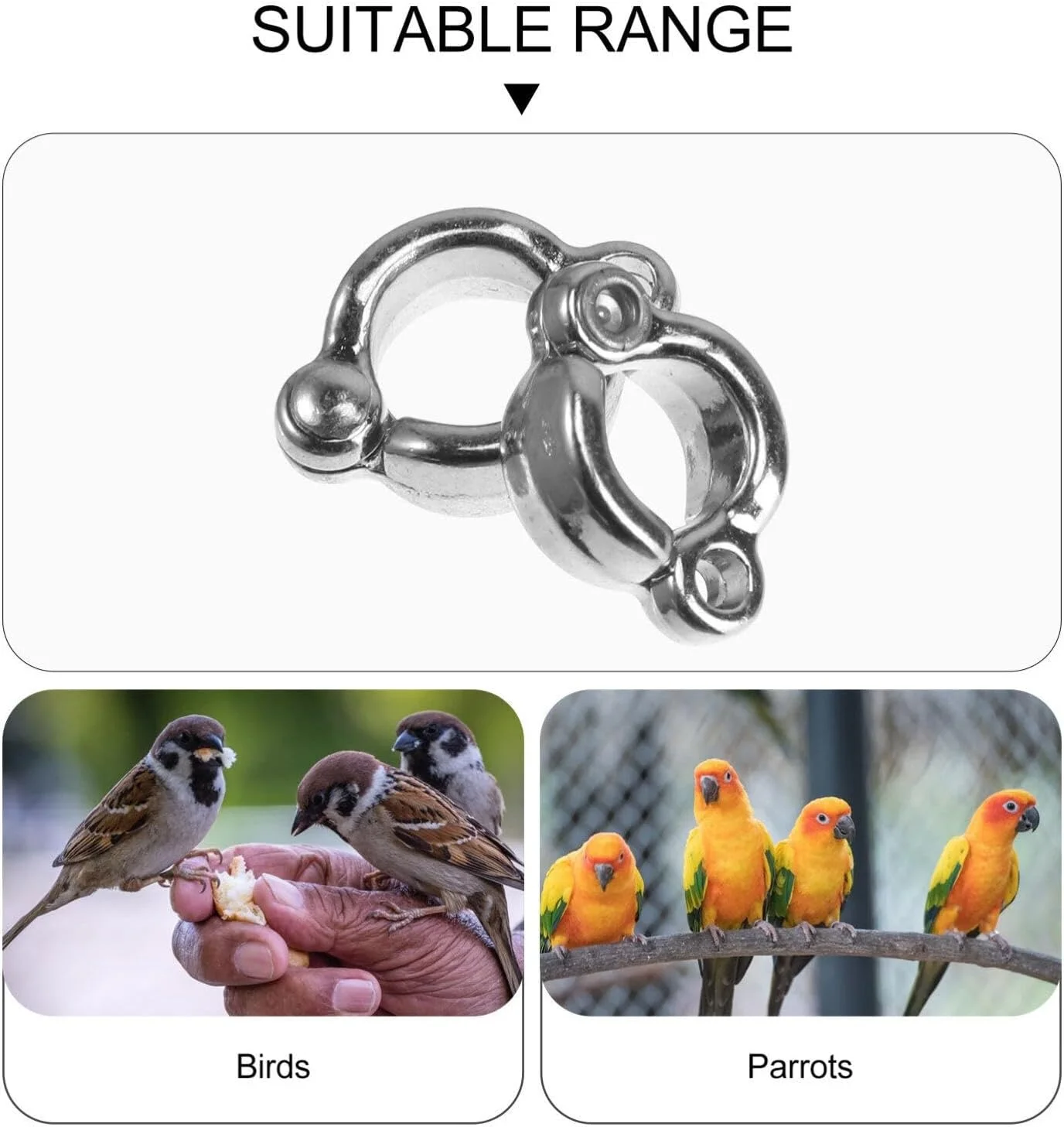 حلقه پای پرنده عمومی - 6 عدد حلقه پای طوطی، لوازم جانبی آموزش پرنده برای طوطی ها