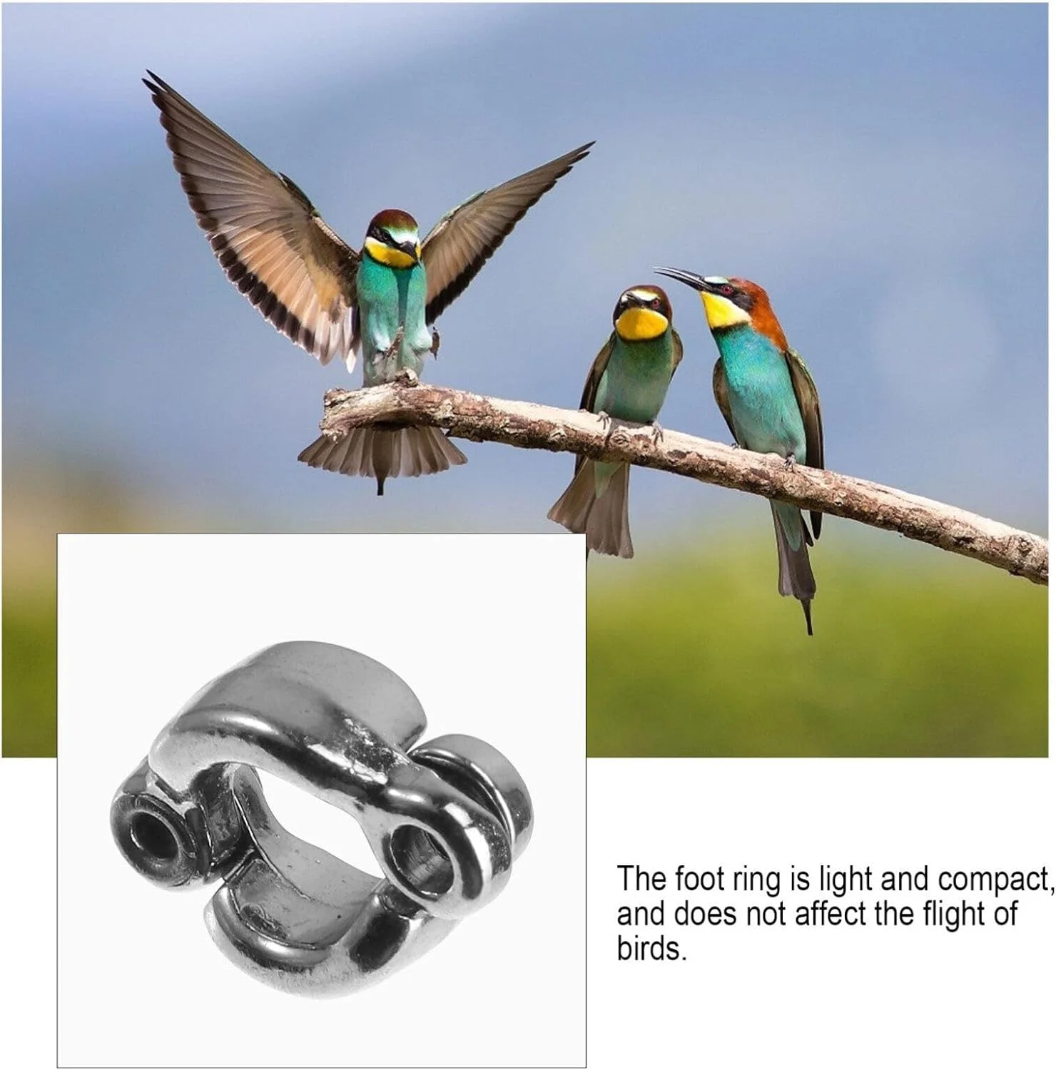 حلقه پای پرنده جنریک - 6 عدد حلقه پا برای طوطی، لوازم جانبی آموزش پرنده برای طوطی ها