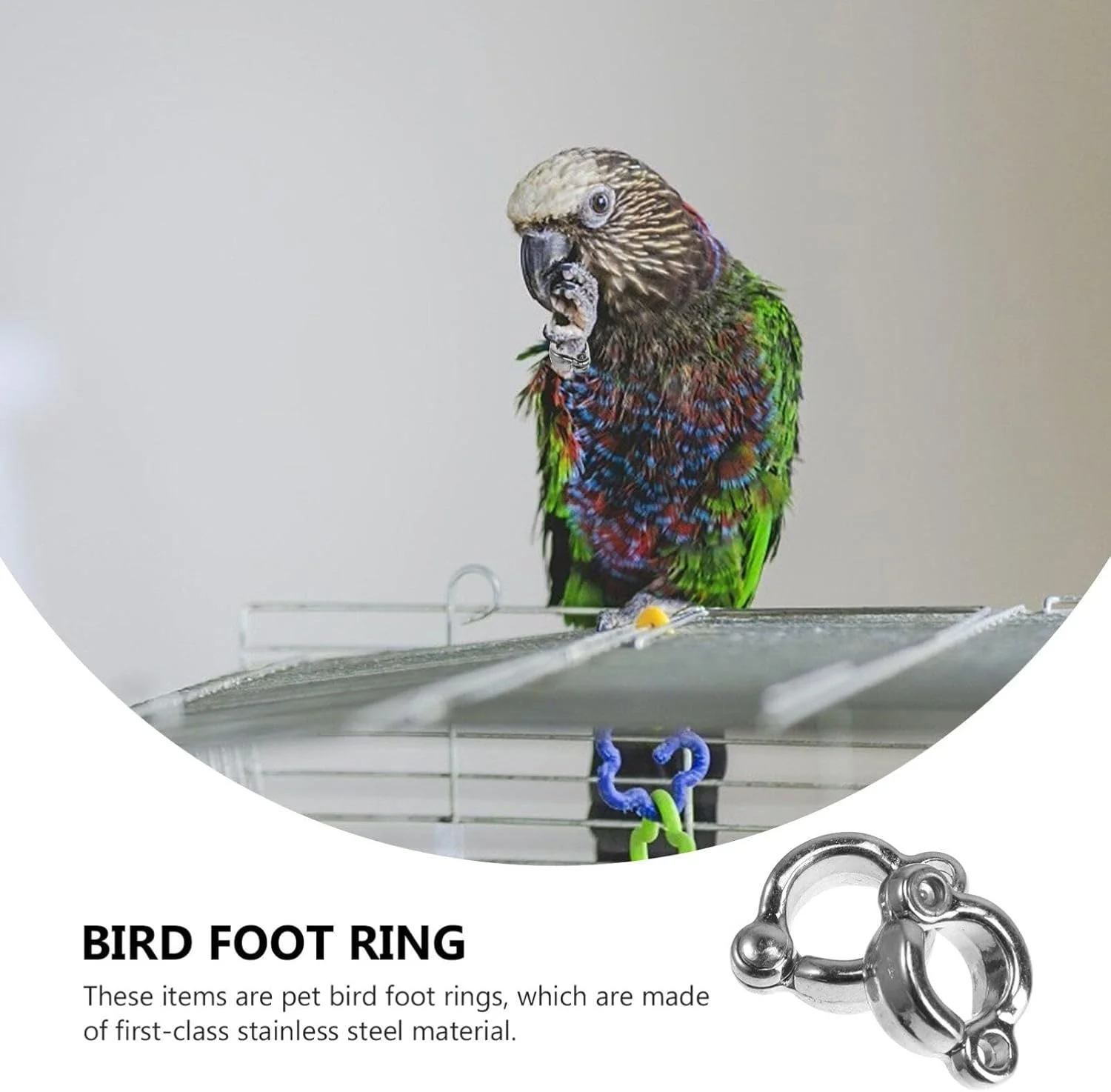 حلقه پای پرنده جنریک - 6 عدد حلقه پا برای طوطی، لوازم جانبی آموزش پرنده برای طوطی ها
