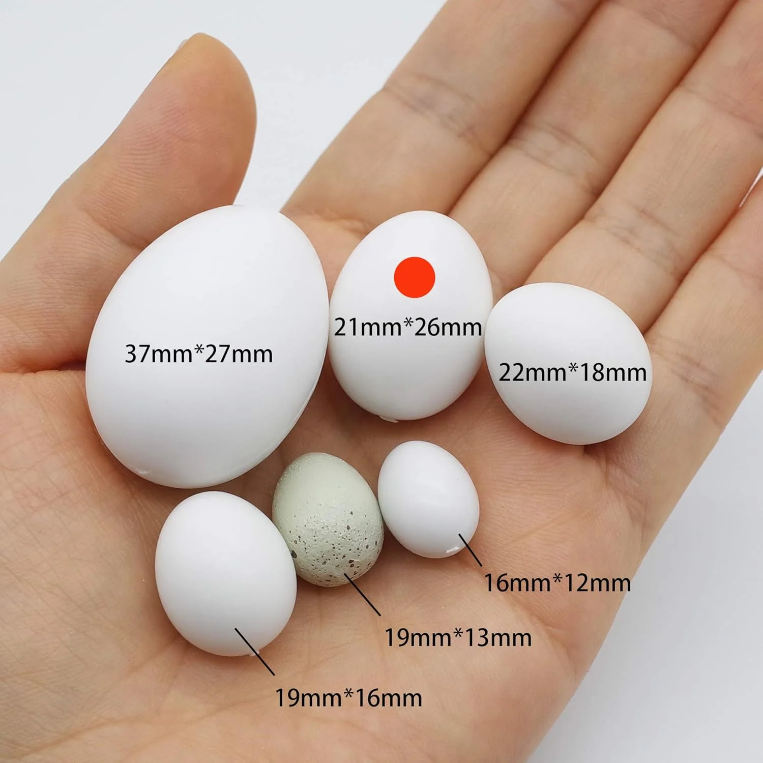 FOIBURELY 12 عدد تخم مرغ پلاستیکی جامد طوطی، تخم مرغ های جوجه کشی گونه سبز، لوریکیت و قمری گردن حلقه ای، کوآکر، عروس هلندی. پرندگان را فریب دهید تا از تخم گذاری دست بردارند، تخم مرغ های تقلبی